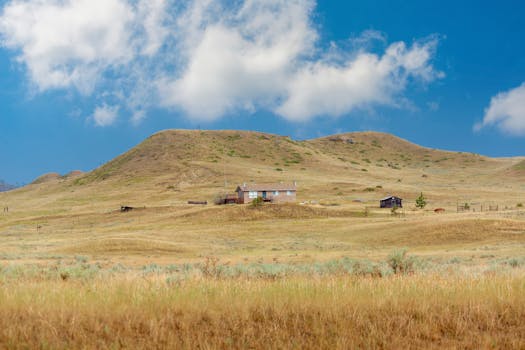 A serene rural landscape in Montana with rolling hills and a distant house under a bright blue sky.