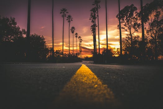 A captivating sunset view of an empty highway lined with tall palm trees.