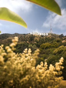 A captivating view of the Hollywood Sign with lush greenery in the foreground under a blue sky.